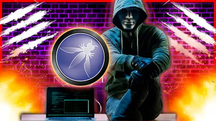 OWASP TOP 10 - Hacking & Pentesting Web, Bug Bounty Hunting